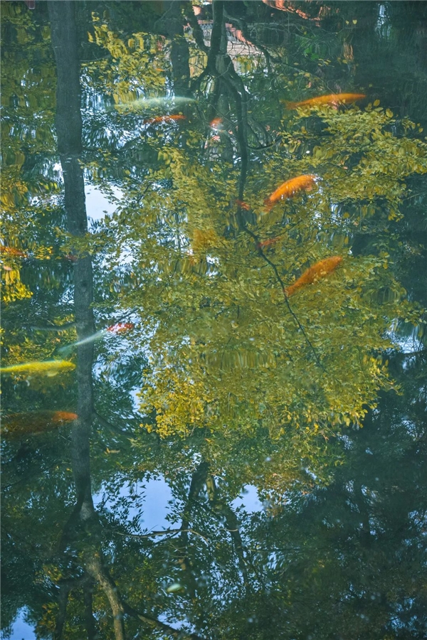 image005.jpg