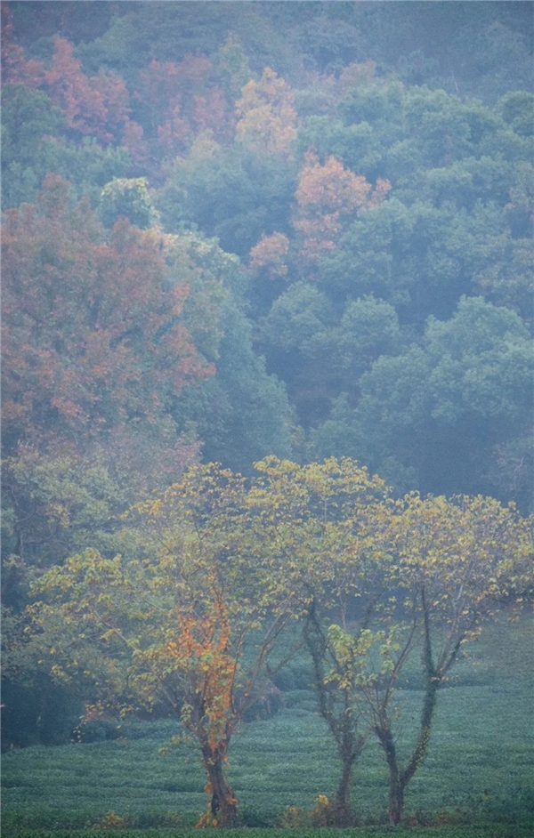 image014.jpg